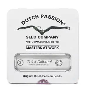 Think Different Auto by Dutch Passion Feminized, Seeds in Pack: 1 seed