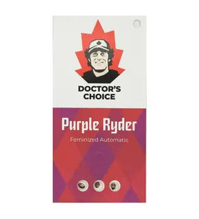 Purple Ryder from Doctor's Choice Feminized, Seeds in Pack: 3 seeds
