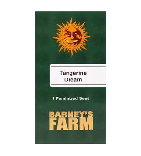 Tangerine Dream by Barney's Farm feminized, Seeds in Pack: 1 seed