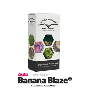 Семена Auto Banana Blaze от Dutch Passion феминизированные, Количество семян: 1 семя
