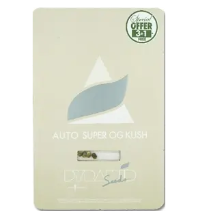 Auto Super OG Kush საწყისი Pyramid Seeds ფემინიზებული, თესლის რაოდენობა: 1 თესლი