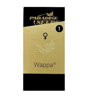 Семена Wappa от Paradise Seeds феминизированные, Количество семян: 1 семя
