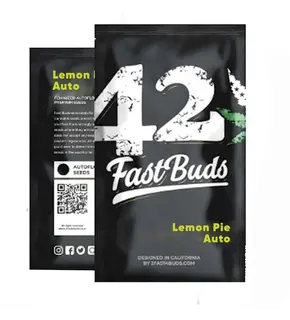 Lemon Pie Auto მიერ Fast Buds ფემინიზებული, თესლის რაოდენობა: 1 თესლი