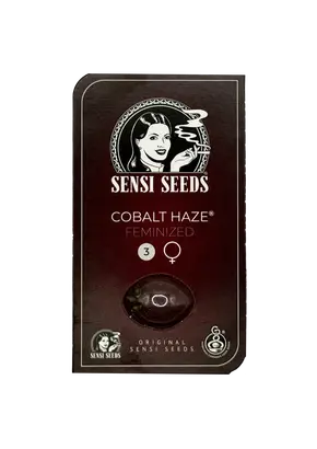 Cobalt Haze from Sensi Seeds Feminized, Seeds in Pack: 3 seeds