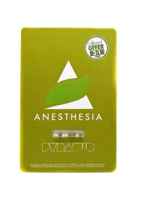 Anesthesia საწყისი Pyramid Seeds ფემინიზებული, თესლის რაოდენობა: 1 თესლი