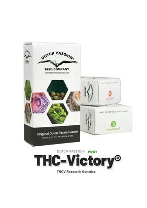 Auto THC-Victory from Dutch Passion Feminized, Seeds in Pack: 1 seed