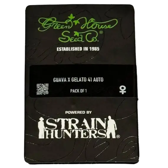 Guava x Gelato 41 Auto from Green House Seeds : Tropical Flavor & Uplifting Effect, Seeds in Pack: 1 seed