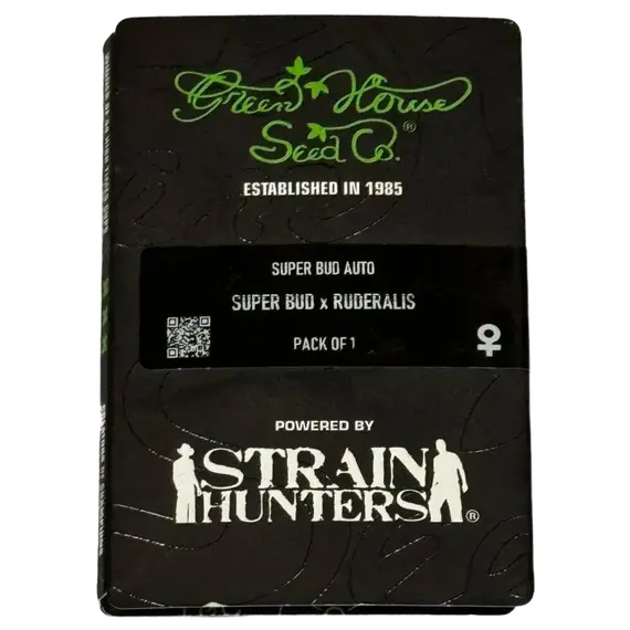 Super Bud Auto: პარალიზური ეფექტი და მკვეთრი არომატი, თესლის რაოდენობა: 1 თესლი