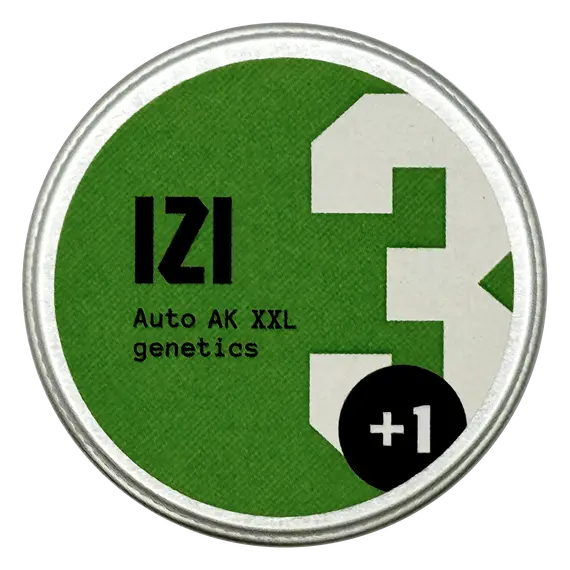 Auto AK XXL from IZI Seeds: The Pine-Citrus Sativa-Indica Fusion, Seeds in Pack: 1 seed