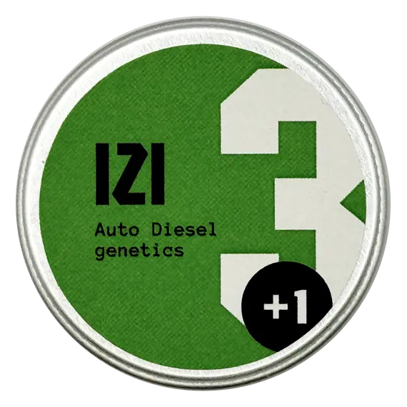Auto Diesel Genetics from IZI Seeds: Berry-Diesel Harmony, Seeds in Pack: 1 seed