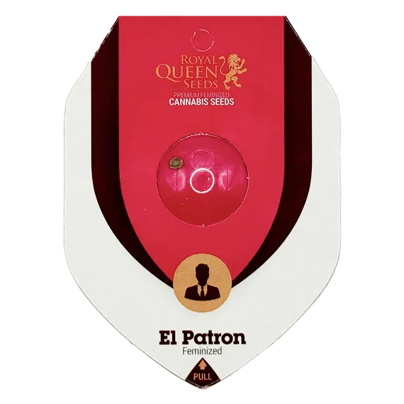 El Patron from Royal Queen Seeds: The Ultimate Hybrid Harmony, Seeds in Pack: 1 seed