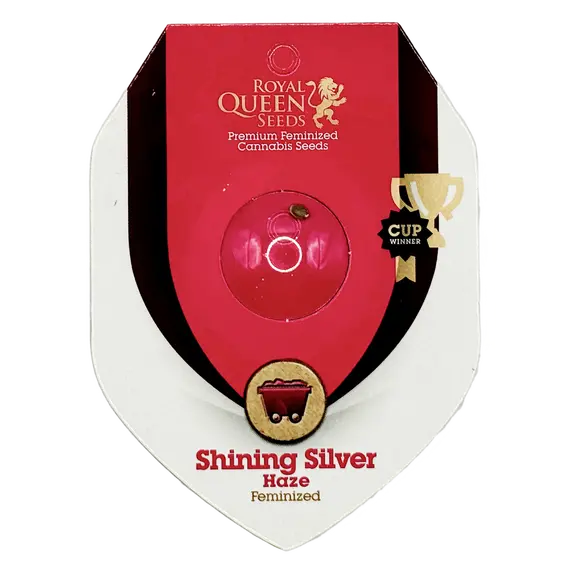 Shining Silver Haze от Royal Queen Seeds: насладитесь вкусом и мощью, Количество семян: 1 семя