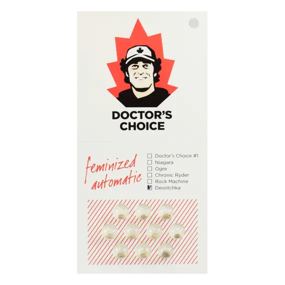 Auto Devotchka от Doctor’s Choice: вкусное ягодное наслаждение сативы, Количество семян: 1 семя