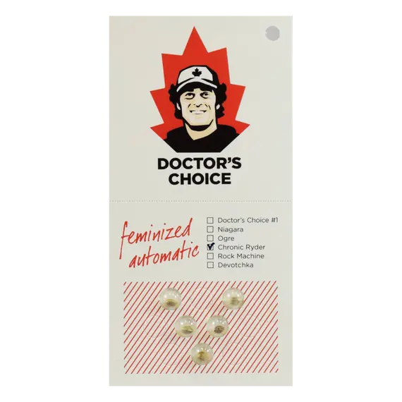 Auto Chronic Ryder from Doctor’s Choice: Your Daytime Citrus Companion, Seeds in Pack: 1 seed