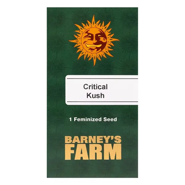 Critical Kush от Barney's Farm: 100% расслабляющая индика с древесными нотами, Количество семян: 1 семя