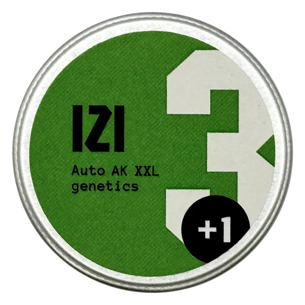 Auto AK XXL from IZI Seeds: The Pine-Citrus Sativa-Indica Fusion, Seeds in Pack: 3 seeds