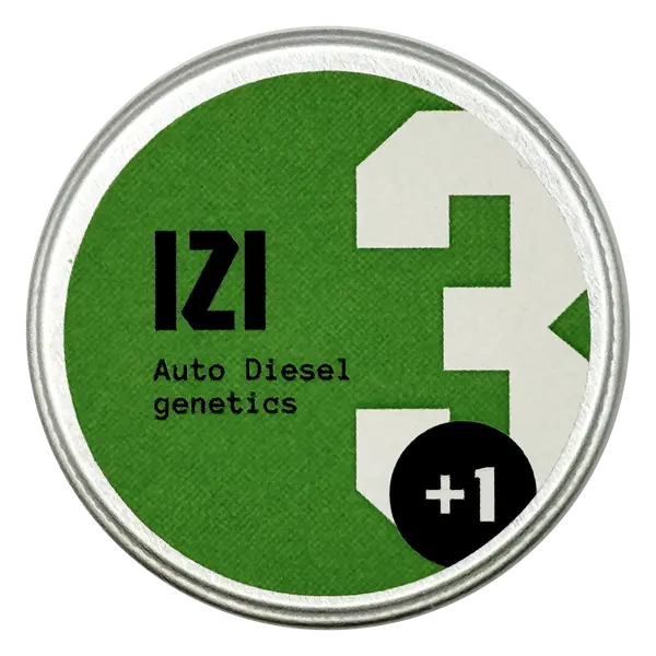 Auto Diesel Genetics from IZI Seeds: Berry-Diesel Harmony, Seeds in Pack: 3 seeds