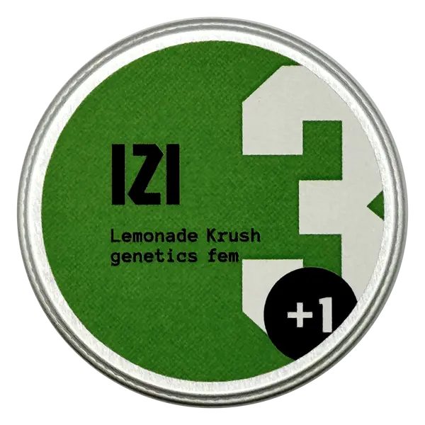 Lemonade Krush from IZI Seeds: Citrus Bliss Meets Creative Calm, Seeds in Pack: 3 seeds