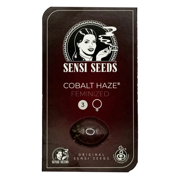 Cobalt Haze from Sensi Seeds: The Ultimate Hybrid Experience, Seeds in Pack: 3 seeds