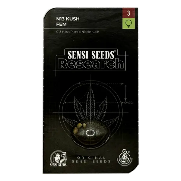N13 Kush from Sensi Seeds: The Essence of Relaxation & Creativity, Seeds in Pack: 3 seeds