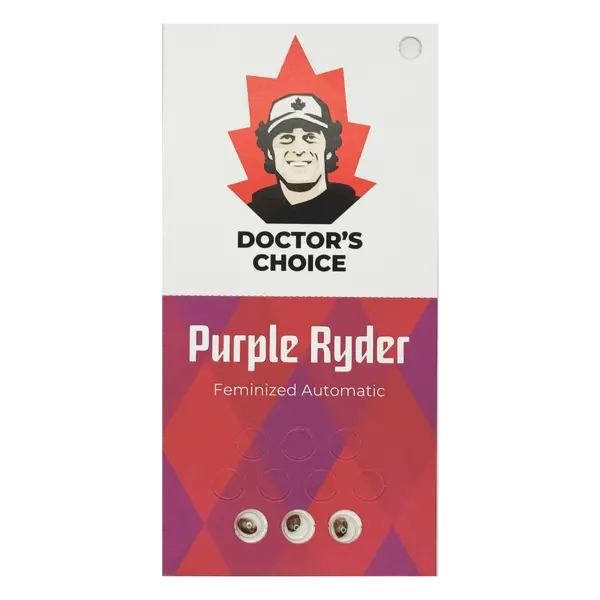 Purple Ryder от Doctor's Choice: фиолетовая индика с высоким ТГК, Количество семян: 3 семени