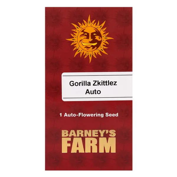 Gorilla Zkittlez Auto Barney's Farm-დან: ფეთქებადი ხილის არომატი და ძლიერი ზრდა, თესლის რაოდენობა: 1 თესლი