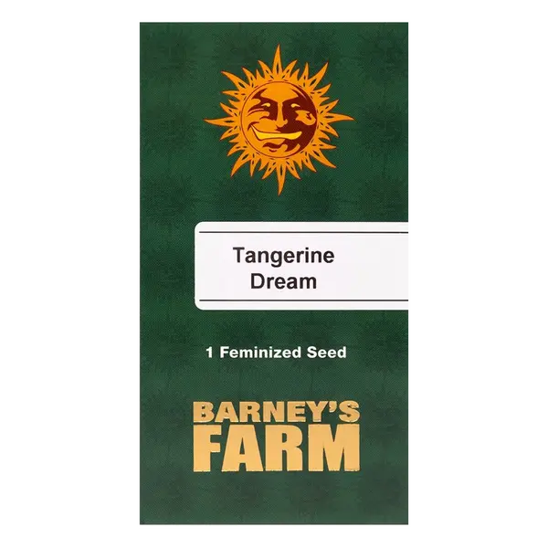 Tangerine Dream from Barney's Farm: A Citrus Flavor and Invigorating Effect, Seeds in Pack: 1 seed
