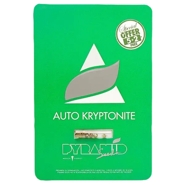 Auto Kryptonite from Pyramid Seeds: Citrus Flavors Meet Sativa Energy, Seeds in Pack: 1 seed