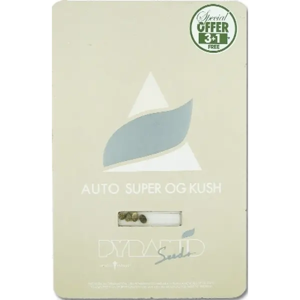 Auto Super OG Kush от Pyramid Seeds: сладкое расслабление, Количество семян: 1 семя