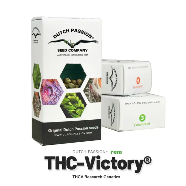 Auto THC-Victory from Dutch Passion: Elevate Your Mood, Seeds in Pack: 1 seed
