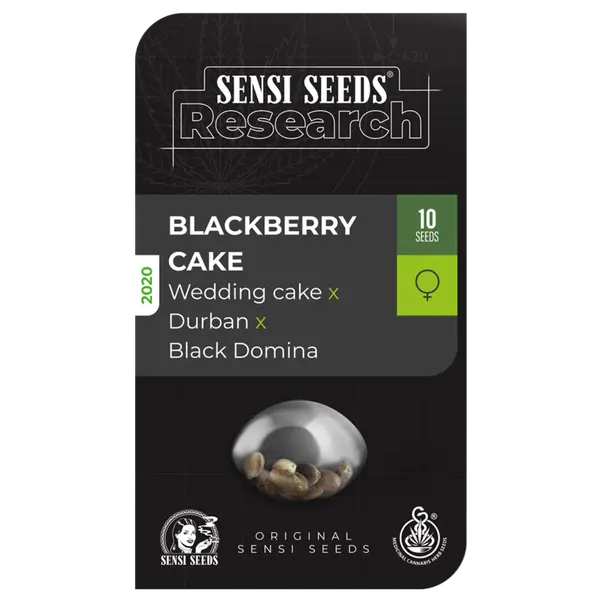 Blackberry Cake from Sensi Seeds: Citrus-Infused Indica Dominance, Seeds in Pack: 3 seeds