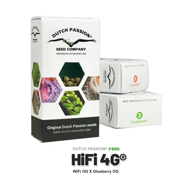HiFi 4G from Dutch Passion: Hybrid with Earthy-Spicy Flavor and Music Enhancement Effect, Seeds in Pack: 1 seed
