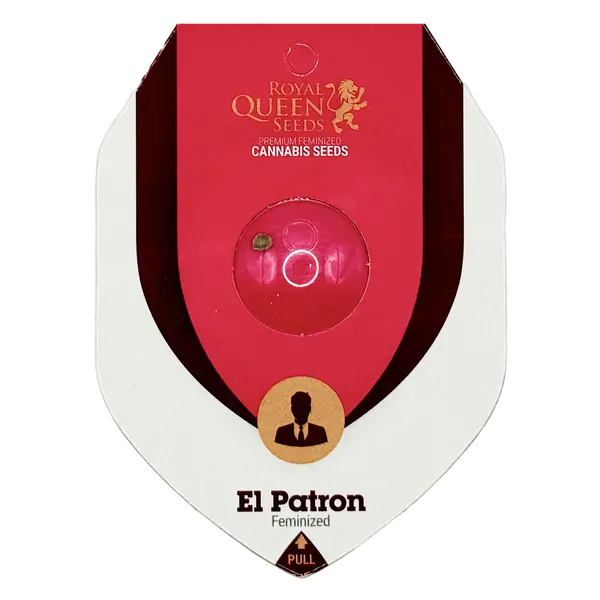 El Patron from Royal Queen Seeds: The Ultimate Hybrid Harmony, Seeds in Pack: 1 seed