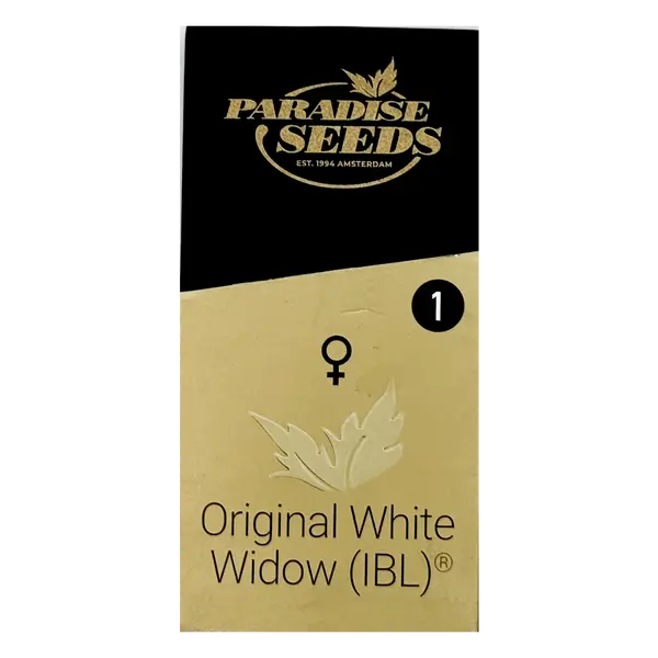 Original White Widow from Paradise Seeds: Balance, Flavor, Creativity, Seeds in Pack: 1 seed