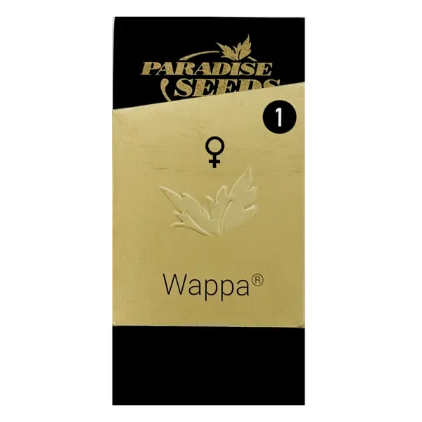 Wappa from Paradise Seeds: Your Gateway to Fruity Bliss and Balanced Harmony., Seeds in Pack: 1 seed