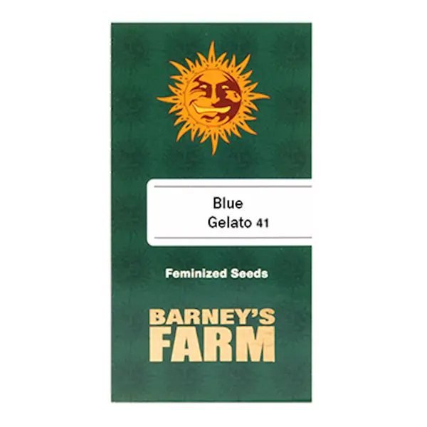 Blue Gelato 41 от Barney's Farm: ягодные ароматы и энергетический подъем, Количество семян: 1 семя